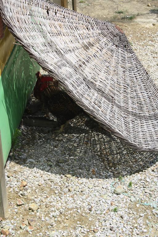 Zumrut Bahce Motel Gokcedere Buitenkant foto